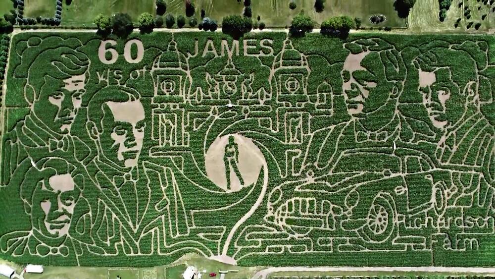 BONDOV LAVIRINT: Ogromno polje kukuruza postalo je zabavni park posvećen agentu 007