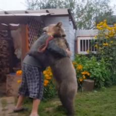 BOSANAC? Reklo bi se da se tip rve sa medvedom, ali u pitanju je NEŽNO GRLJENJE! (VIDEO)