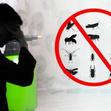 BUBE IZ PAKLA! Velika najezda ovih insekata u Beogradu i Srbiji - treba da se pazite ovoga leta: Žrtve imaju jeziva iskustva