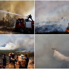 BUKTI VATRA OD SIBIRA DO MEDITERANA: Planeta u čeljustima požara, najgore u Grčkoj (FOTO/VIDEO)
