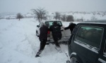 Babušnica: Gorštak nađen mrtav u snegu