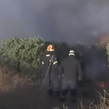 Bacila cigaretu i izazvala katastrofu: Kućna pomoćnica uhapšena zbog požara na Hiosu - uništeno 40.000 hektara zemlje