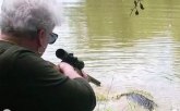 Baka ubila aligatora od 260 kila: Jedan metak u glavu i...
