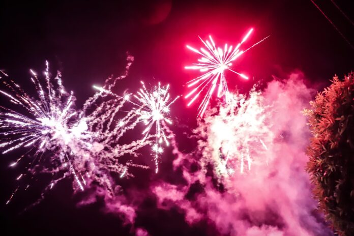 Barbara Bobak, vatromet, piće i pljeskavice na dočeku „srpske“ u Pukovcu