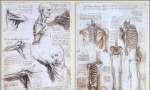Beogradske priče: Muzej anatomije čoveka