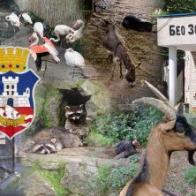 Beogradski Zoološki Vrt: Vrt dobre nade na Kalemegdanu, mesto susreta svih generacija