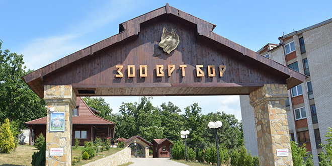 Besplatan ulaz i bogat program u borskom Zoo vrtu u nedelju povodom Međunarodnog Dana deteta