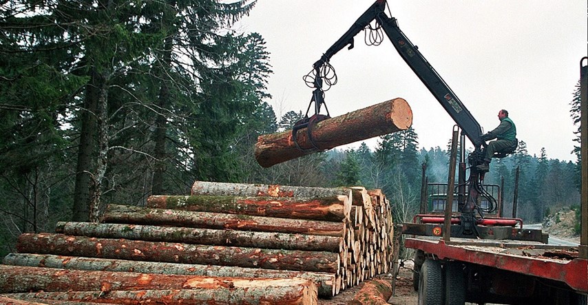 BiH bilježi pad izvoza u drvnoj industriji