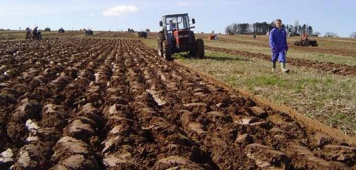BiH mora iskoristiti novac EU za podsticaj u poljoprivredi