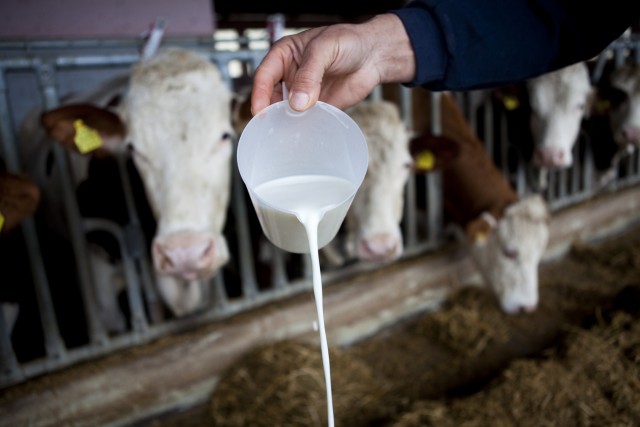 BiH u 2018. povećala izvoz mlijeka, ali raste i uvoz