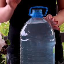 Biljke vam ne cvetaju? Ovaj prirodni rastvor će ih snabdeti vitaminom B, a one će bujati kao lude - Ne može jeftinije