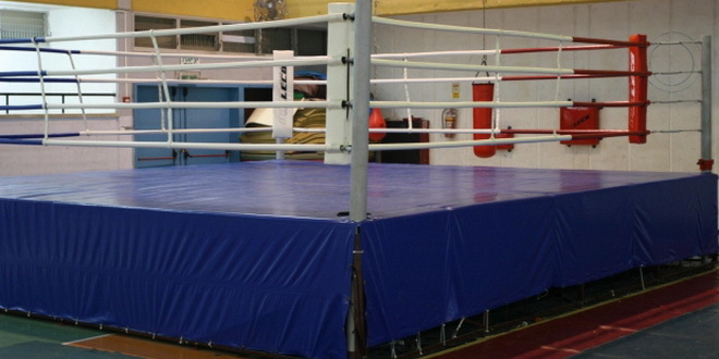 Bokserski savez Rusije gradi Srbiji trenažni centar za boks