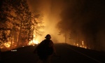 Bolsonaro: NVO verovatno podmeću požare u prašumama