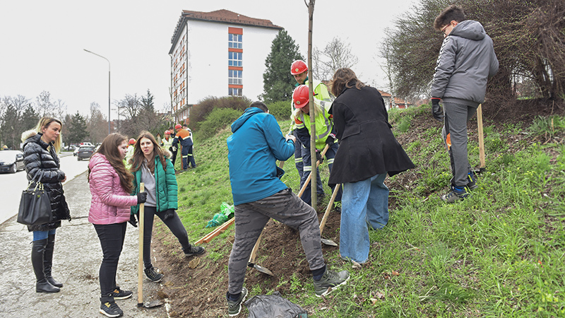 Borski osnovci i srednjoškolci sproveli akciju sadnje drveća i čišćenja zelenih površina