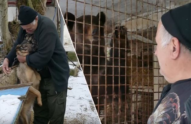 Bosanac spavao u kontejneru da bi medvedi ziveli u njegovoj kuci Cuva ih 10 godina i potrosio je skoro 77.000 evra na njih (VIDEO)