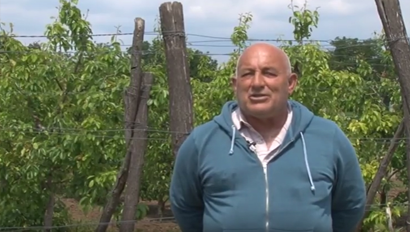 Branislav je postao vinogradar u šezdesetim: On je uz pomoć hobija vratio duh svom selu i ide mu fantastično (FOTO)