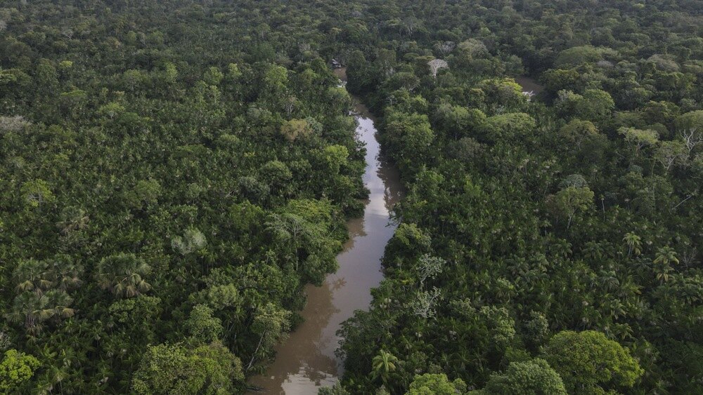 Brazil: Krčenje šuma u Amazonu poraslo za četiri odsto u poslednjih 12 meseci