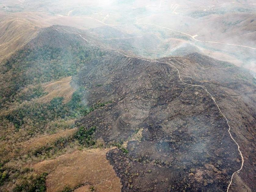 Brazil: Za godinu dana uništena prašuma velika kao Portoriko