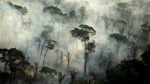 Brazil i Amazonija: Strašni požari bi ponovo ponovo mogli da progutaju prašume