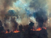 Brazil odbio milione Grupe 7 za Amazoniju