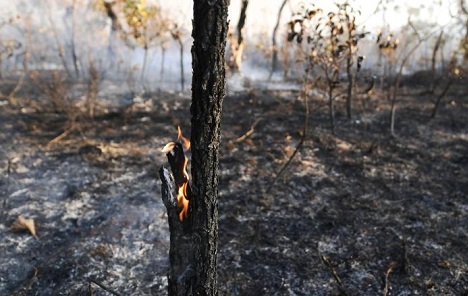 Brazilski ministar: Priča o klimatskim promjenama je ljevičarska zavjera