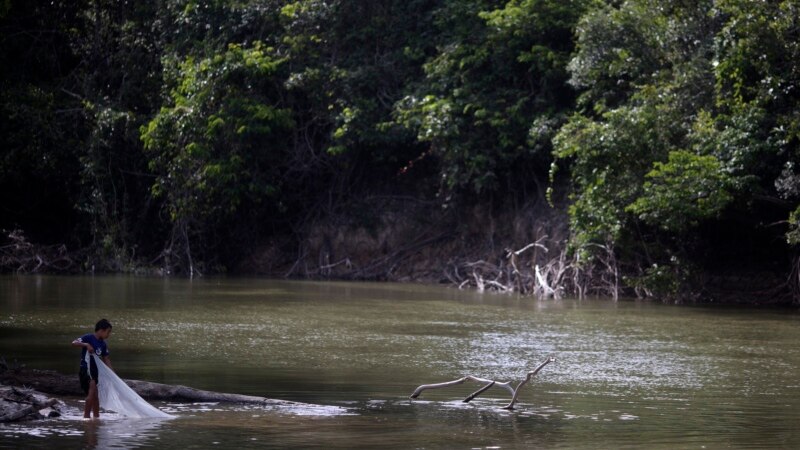 Brazilski predsjednik legalizirao dva rezervata u Amazonu