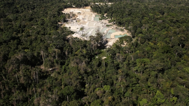 Brazilski predsjednik objavio plan za zaustavljanje sječe šuma u Amazonu