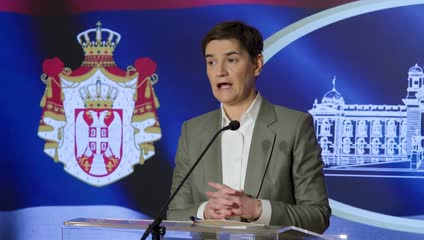 Brnabić: Delegacija Evropskog parlamenta s vlašću samo 13 minuta, a s opozicijom 84