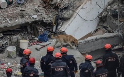 
					Broj žrtava rušenja zgrade u Istanbulu porastao na 16 
					
									