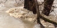 Brza dojava o mogućim poplavama u Novom Sadu