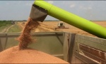 Brži izvoz žita u Makedoniju