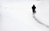 Bubamare najavile hladnu zimu, biće još ledenih talasa