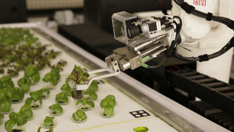 Budućnost ishrane - robotizovane farme u svim gradovima