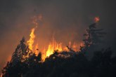 Buknuli novi požari u Grčkoj: Na terenu vatrogasci i helikopteri