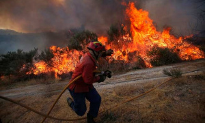 Bukte katastrofalni požari širom Portugala, vlasti zahtevaju pomoć od EU (FOTO, VIDEO)