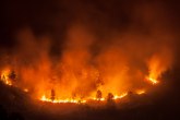 Bukti požar: Sprženo više od 200.000 hektara FOTO/VIDEO