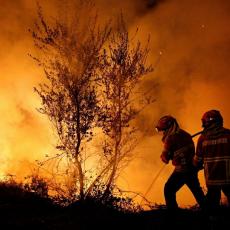 Bukti požar na Hrvatskom primorju: Vatrogasne ekipe se bore sa vatrenom stihijom!