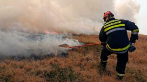 Bukti požar u podnožju Suve planine, stanovništvo nije ugroženo