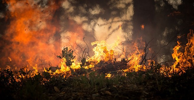 Bukti više od 100 požara u Australiji, izgorela 21 kuća