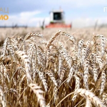 Burne reakcije na predlog da se GMO i organska hrana izjednace u EU