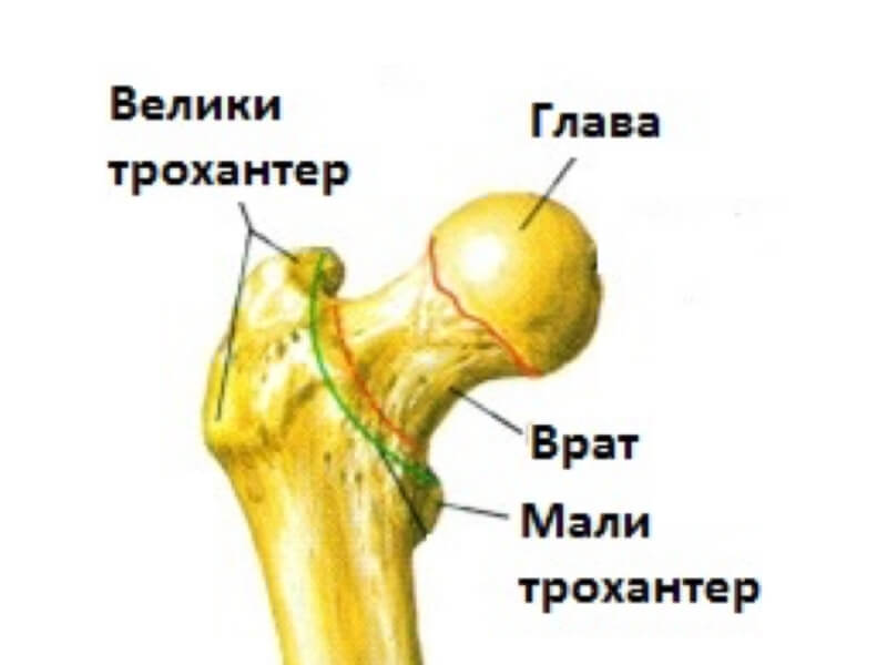 liječenje artroza kamfornim uljem bol u zglobovima ruku uzrokuje liječenje