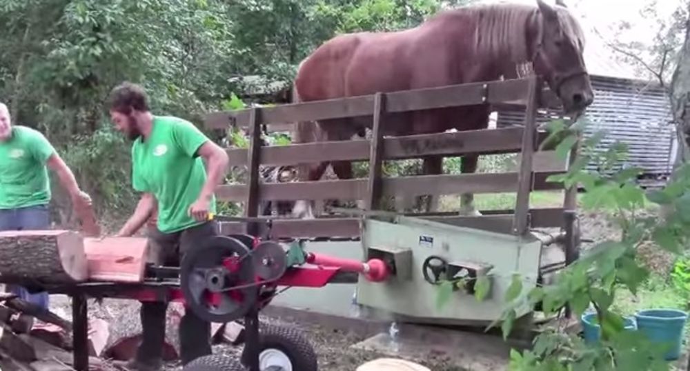 ČEKA VAS CEPANJE DRVA: Evo kako to za vas može da odradi jedan konj! (VIDEO)