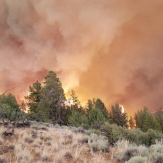 CIGARETA IZAZVALA POŽAR: Izgoreo veći deo šume kod popularne turističke destinacije, 350 ljudi evakuisano