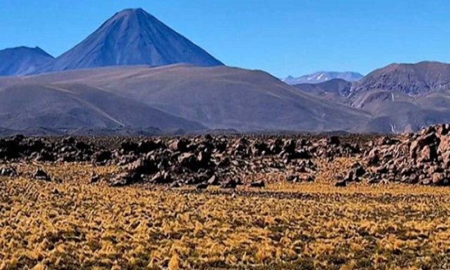 ČILE: Ispod vrelog peska pustinje Atakama, buja život