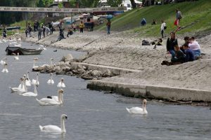 CLS: Beograd jedini grad na Dunavu bez zaprašivanja komaraca iz aviona