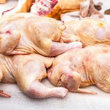 ČUVAJTE SE KOKE, BAJATA JE: Zbog jedne fotografije piletina će vam se ZGROZITI - Nije otrovno, ali je odvratno (FOTO)