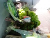 Carinici pronašli paketiće kokaina sakrivene u zelenoj salati FOTO