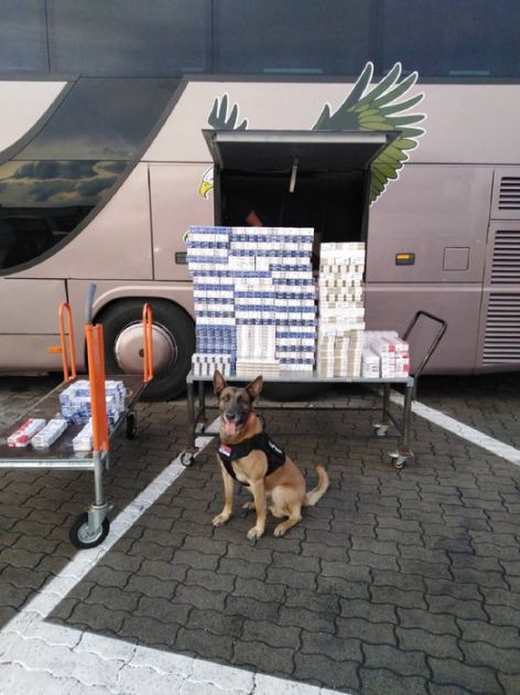 Carinski pas na Horgošu otkrio autobus pun krijumčarenih cigareta
