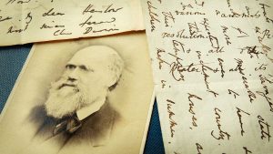 Čarls Darvin – nova saznanja naučnika otkrivaju kako je nastala „gnusna misterija“ o cvetnicama