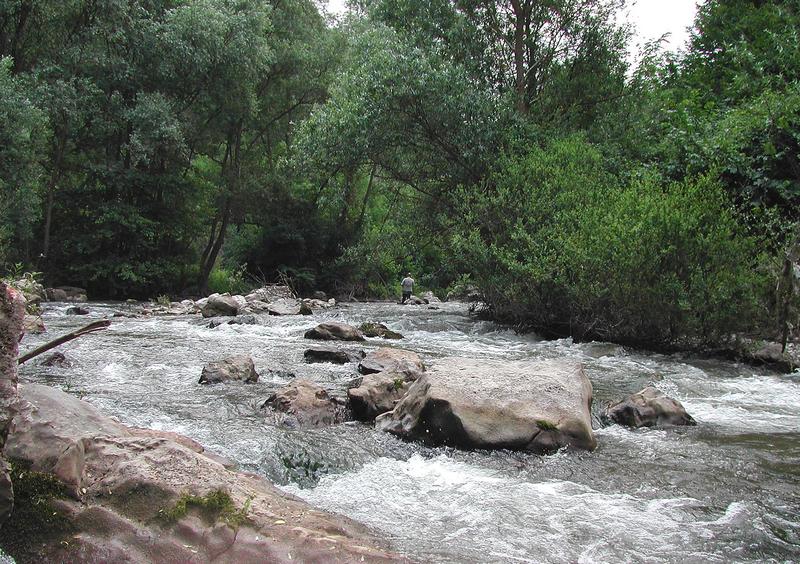 Ceo Dimitrovgrad protiv mini hidroelektrana na zaštićenim prirodnim dobrima!